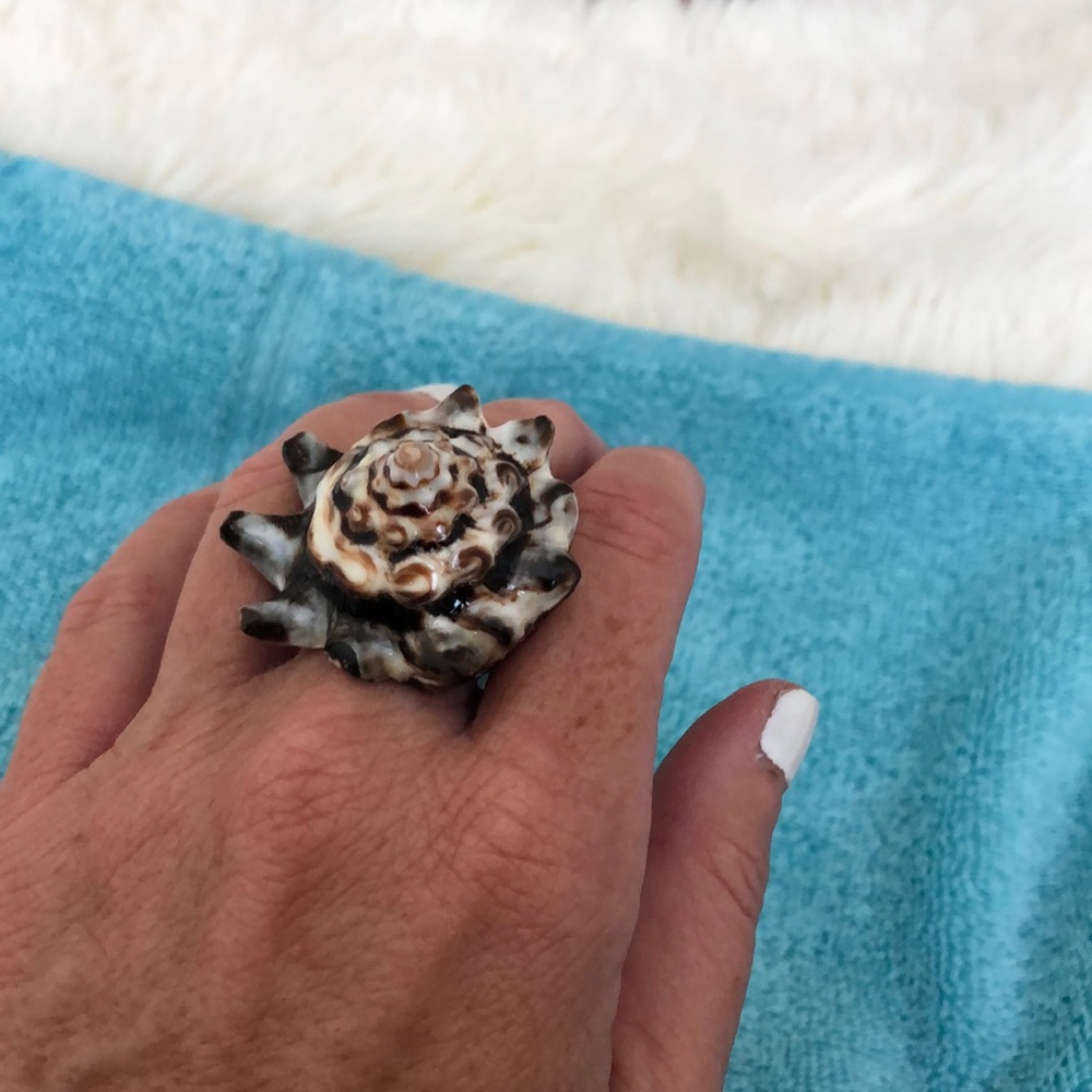 Shell Ring - Picture 2 of 7